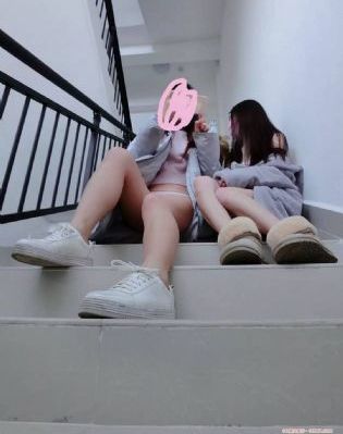 青春环游记第三季免费观看完整版_1080P在线观看